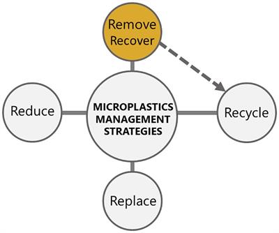 Sequestration of Polystyrene Microplastics by Jellyfish Mucus